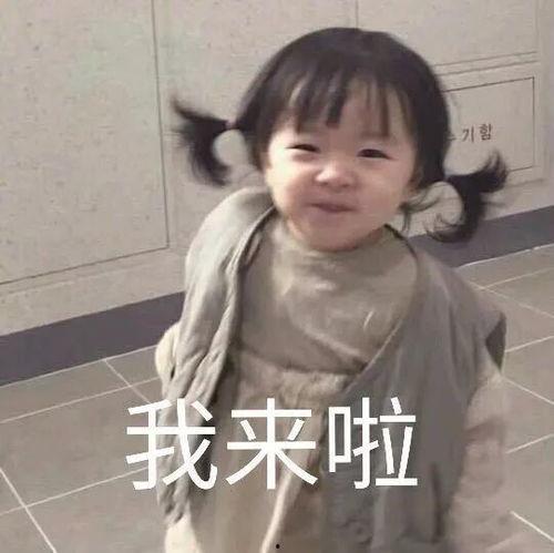 国外萌宝宝表情包视频,国外萌宝宝表情包视频集锦