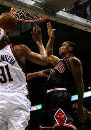 罗斯照片高清图片大全,捕捉永恒瞬间