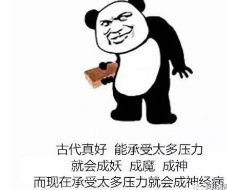 带八的搞笑,揭秘带八的搞笑瞬间！”