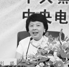 女演员刘璐,光影交织下的璀璨星途